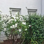 Raphaelle #5 Centre Avec Parking * Χάβρη