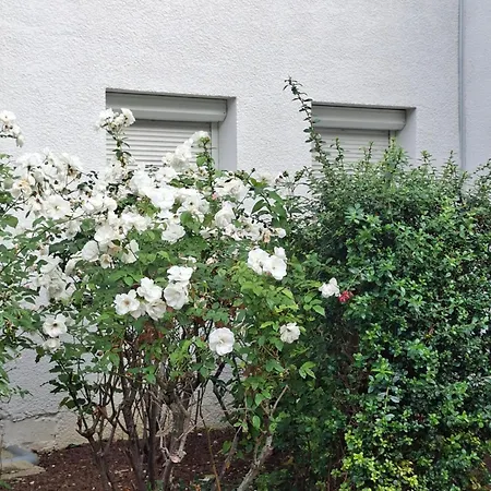 Raphaelle #5 Centre Avec Parking * 勒阿弗尔