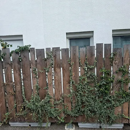 Raphaelle #5 Centre Avec Parking 公寓 勒阿弗尔